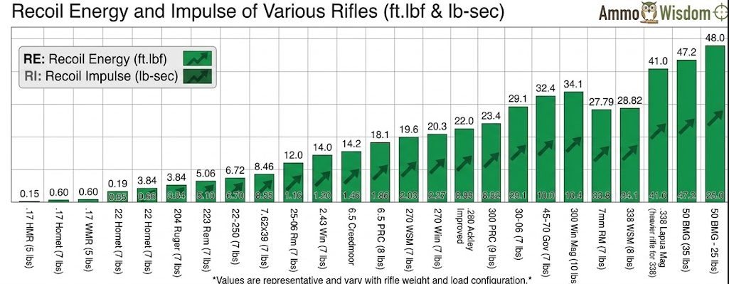 recoil energy of various rifles