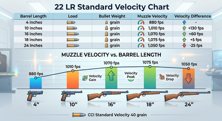 22 LR Standard Velocity