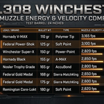 308 Muzzle Energy