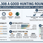 Is 308 a Good Hunting Round?