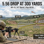 5.56 Drop at 300 Yards