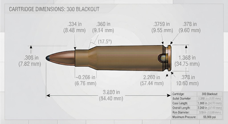 300 Blackout Case Dimensions