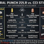 Federal Punch 22lr vs CCI Stinger